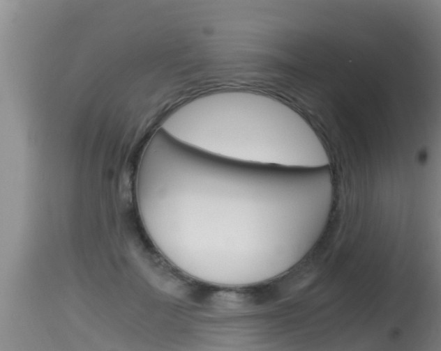 X0000115660699200911120943