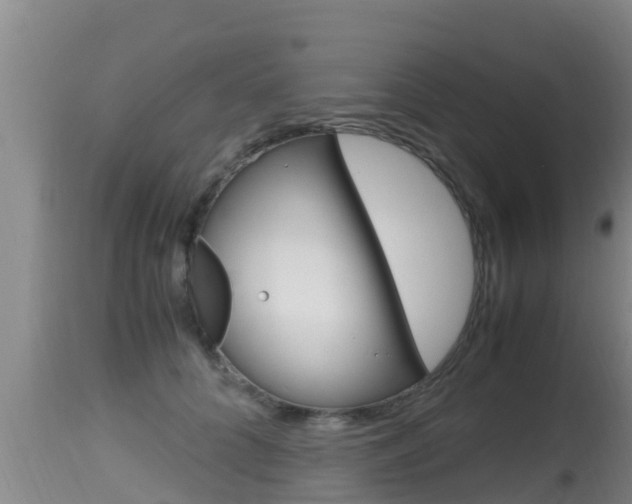 X0000115660704200911120943