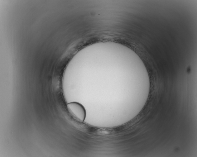 X0000115660706200911120943