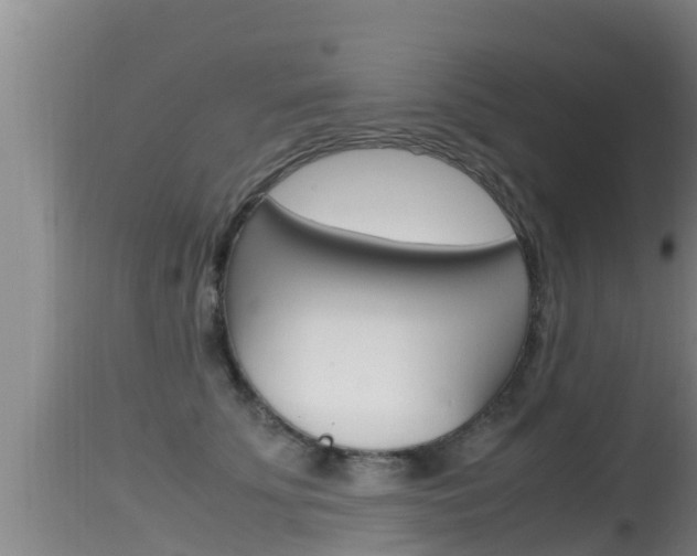 X0000115660707200911120943