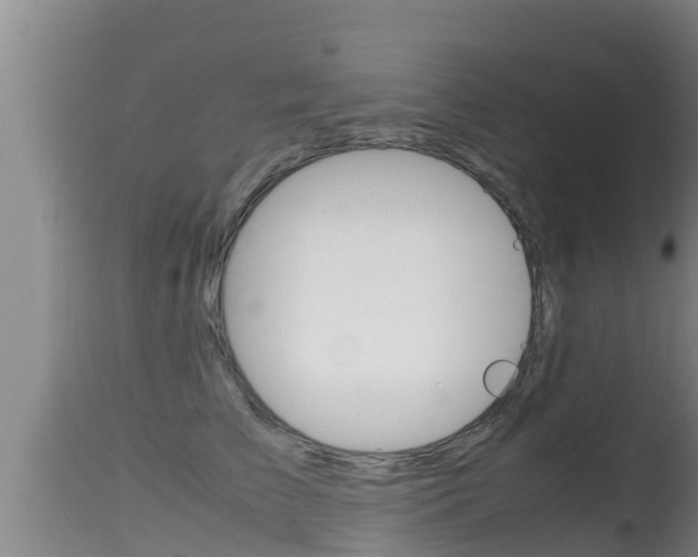 X0000115660709200911120943