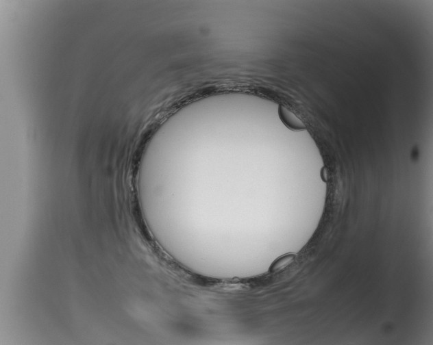 X0000115660711200911120943