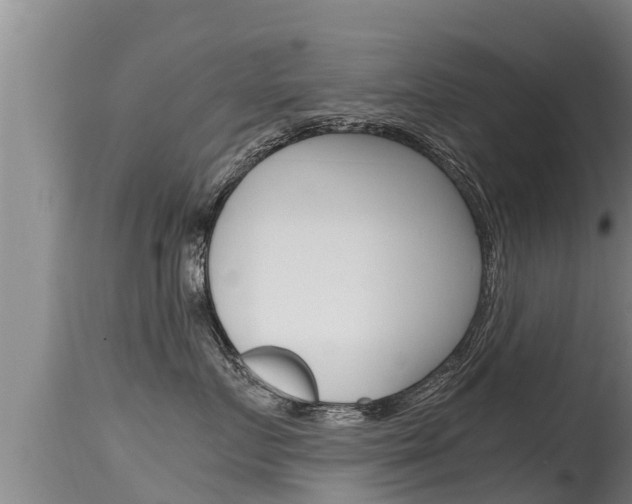 X0000115660719200911120943