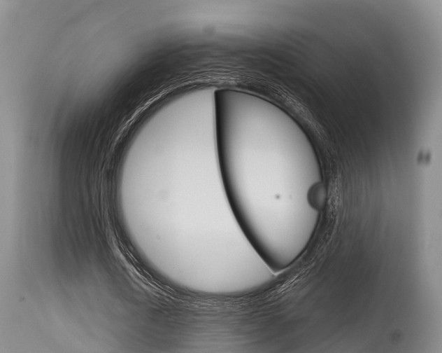 X0000115660722200911120942