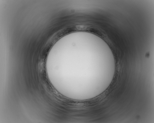 X0000115660741200911120942