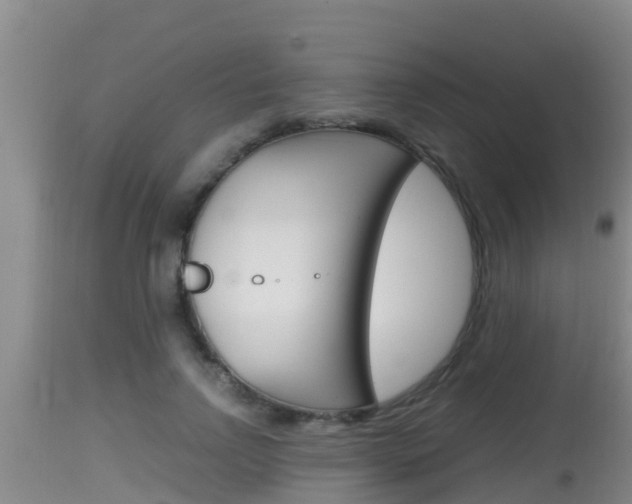 X0000115660742200911120942