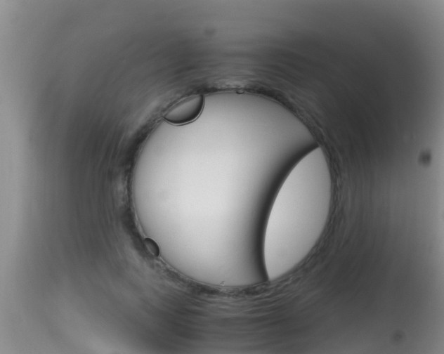 X0000115660743200911120942