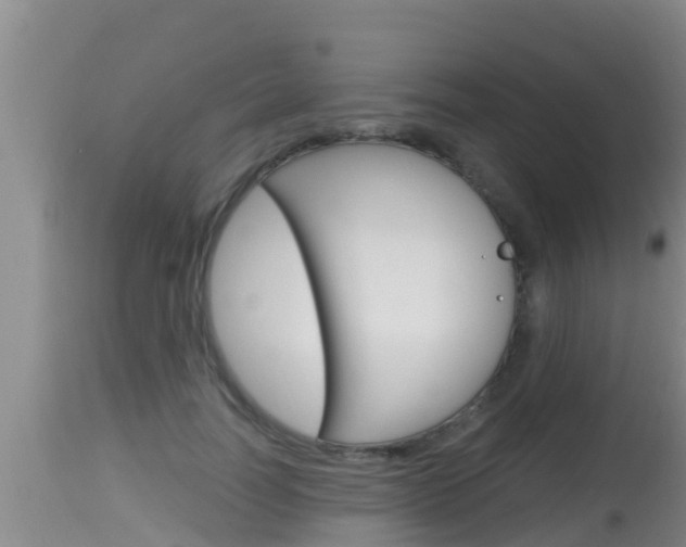 X0000115660746200911120942
