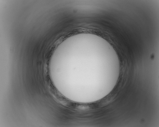 X0000115660749200911120942