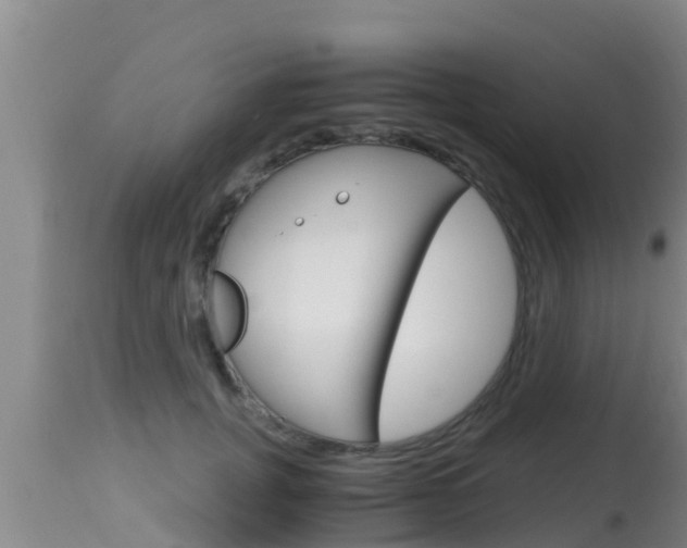 X0000115660751200911120942