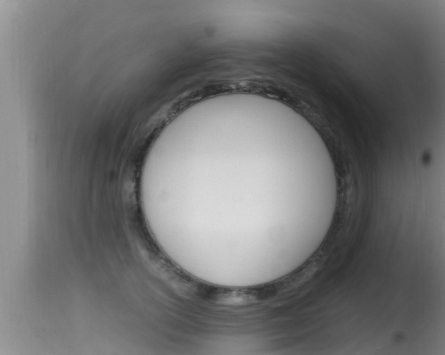 X0000115660754200911120942