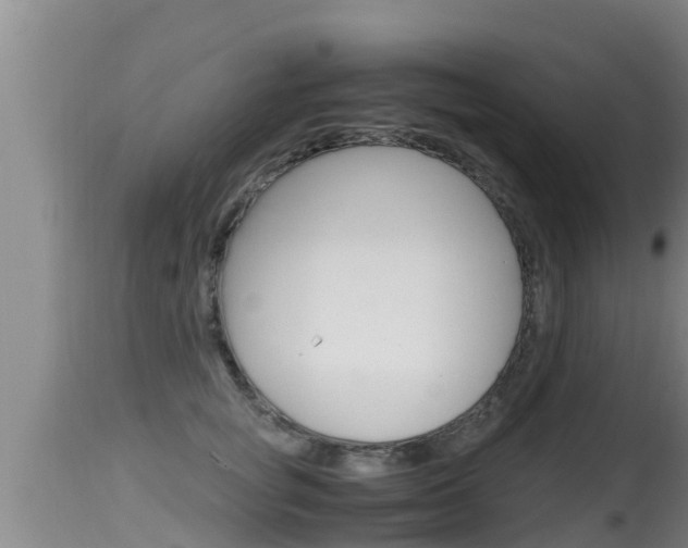 X0000115660757200911120943