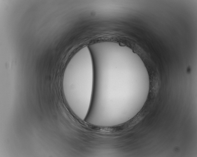 X0000115660758200911120943