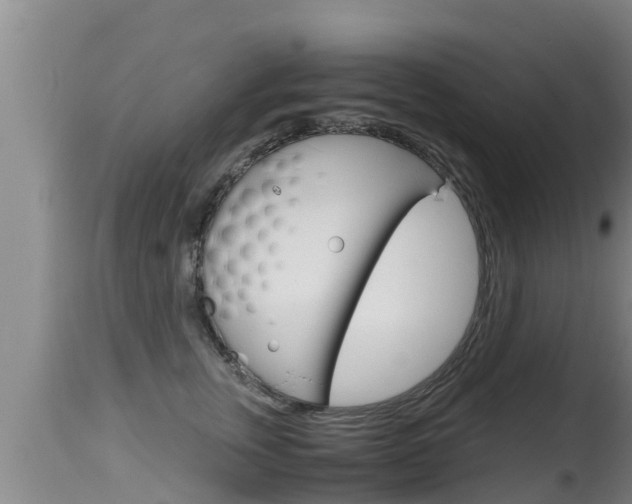 X0000115660759200911120943