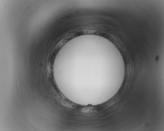 X0000115660761200911120943