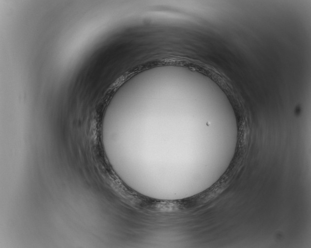 X0000115660762200911120943