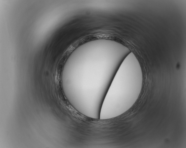 X0000115660763200911120943