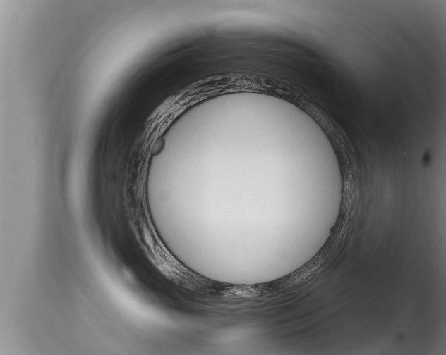 X0000115660765200911120943