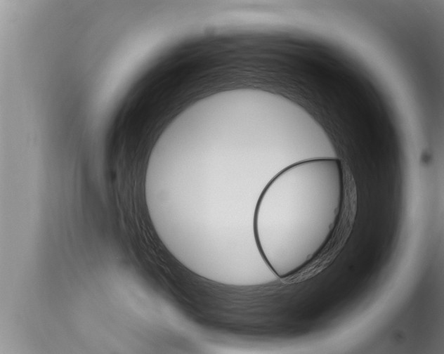 X0000115660766200911120943
