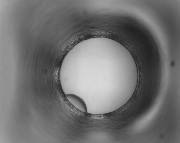 X0000115660767200911120943