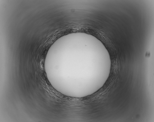 X0000115660770200911120942
