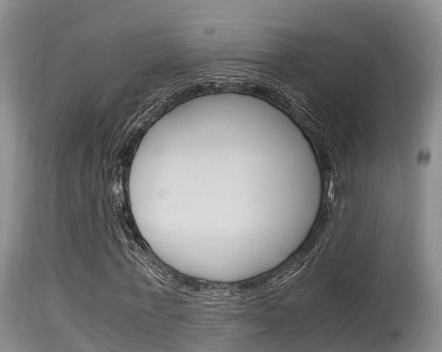 X0000115660771200911120942