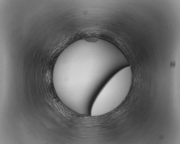 X0000115660772200911120942