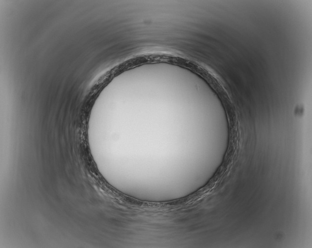 X0000115660775200911120942
