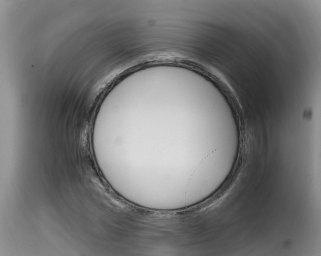 X0000115660778200911120942