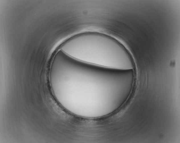 X0000115660783200911120942