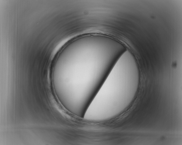 X0000115660788200911120942