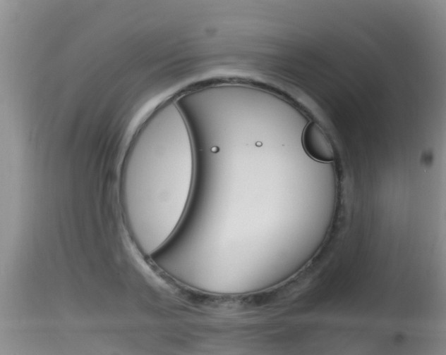 X0000115660791200911120942