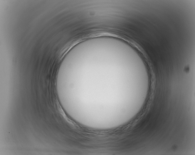 X0000115660793200911120942