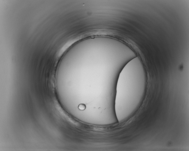 X0000115660794200911120942
