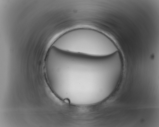 X0000115660799200911120942
