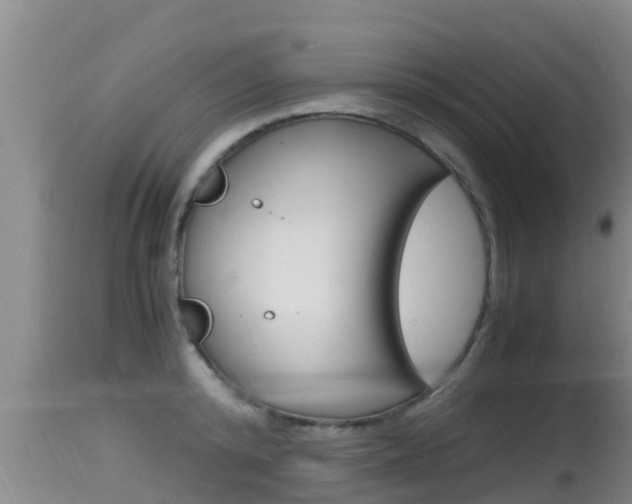 X0000115660800200911120942