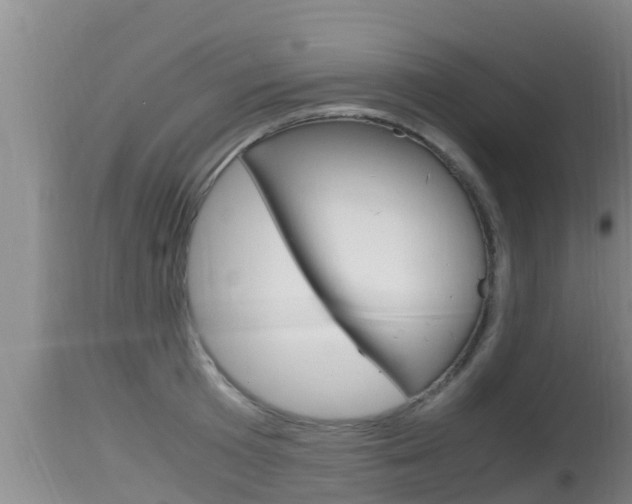 X0000115660801200911120942