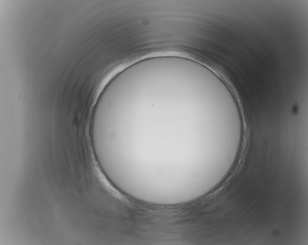 X0000115660805200911120942