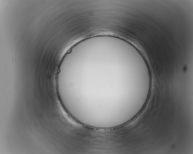 X0000115660806200911120941