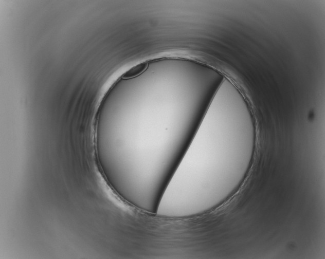 X0000115660808200911120941
