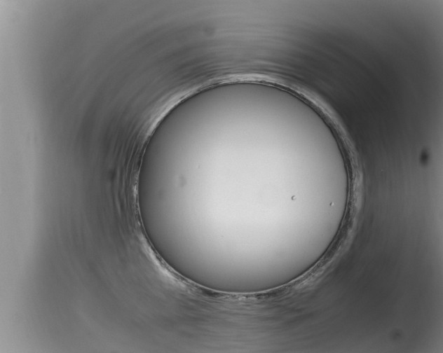 X0000115660809200911120941