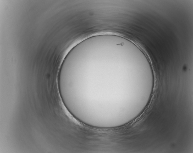 X0000115660813200911120941