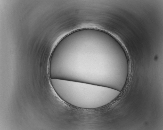 X0000115660815200911120941