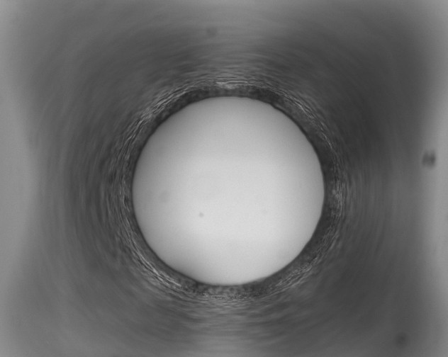 X0000115660817200911120941