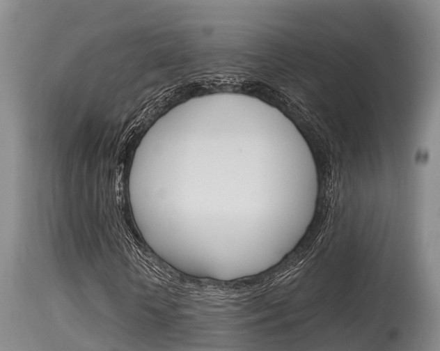 X0000115660818200911120941