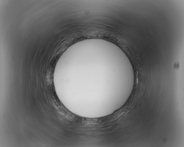 X0000115660819200911120941