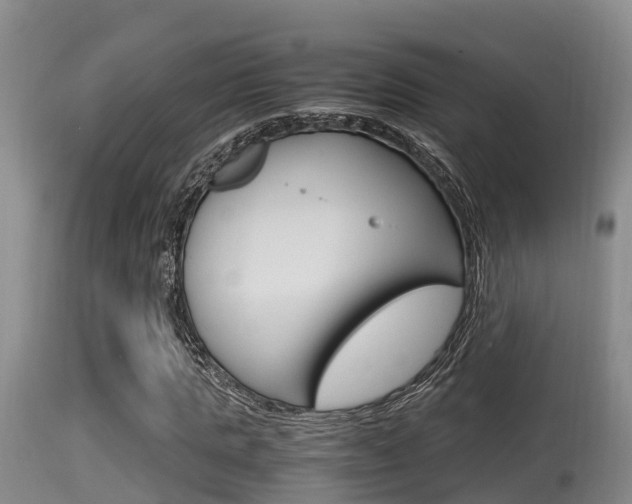 X0000115660821200911120941