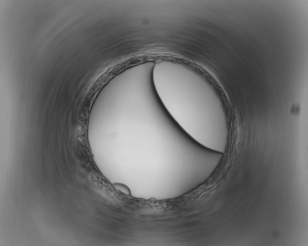 X0000115660823200911120941