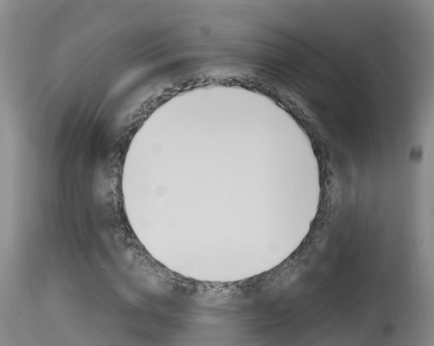X0000115660824200911120941