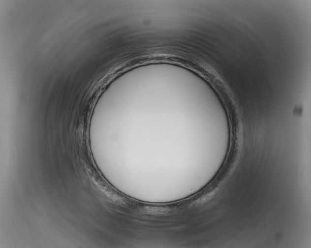 X0000115660825200911120941